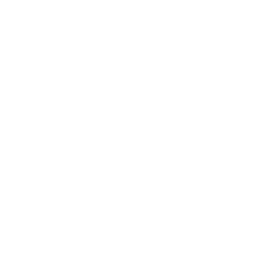 Customer services