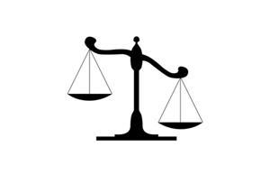 Loss Adjuster